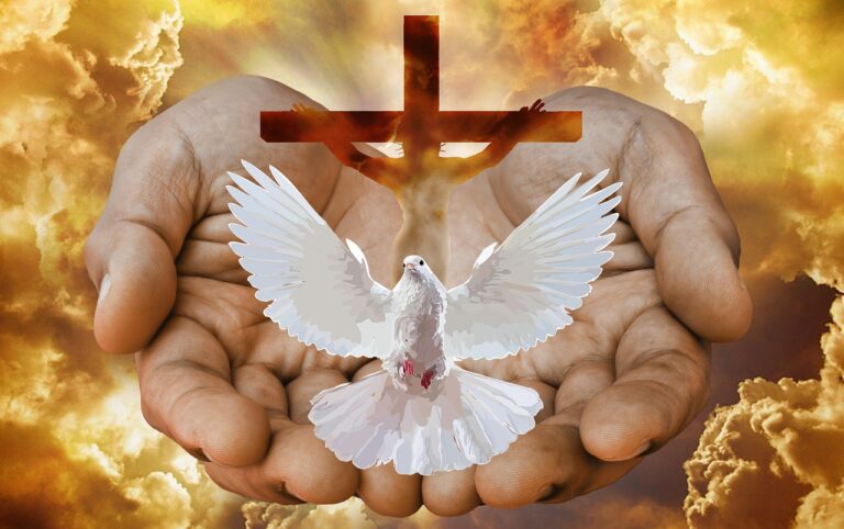 Dove Cross Hands Fire God Trinity  - nickelbabe / Pixabay