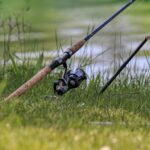 Fish Meadow Water Grass Lake Pond  - planet_fox / Pixabay