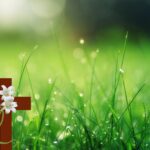 Cross Jesus Flowers Grass Symbol  - jianning1965 / Pixabay