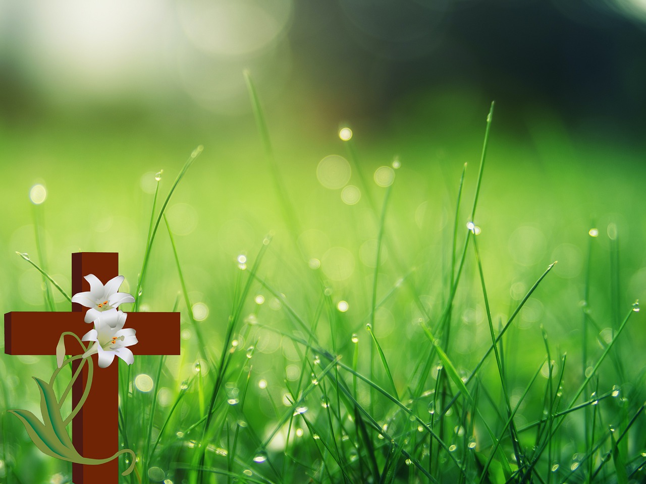 Cross Jesus Flowers Grass Symbol  - jianning1965 / Pixabay