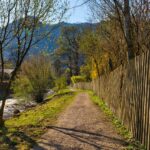 Spring Away Path Wood Fence Nature  - Antranias / Pixabay