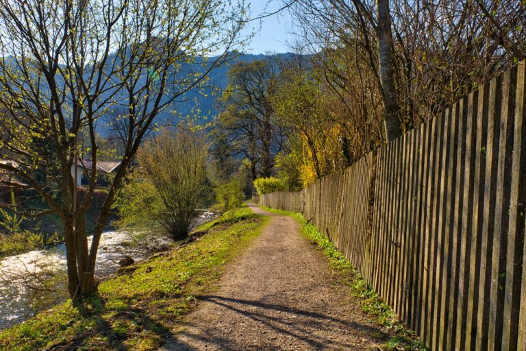 Spring Away Path Wood Fence Nature  - Antranias / Pixabay