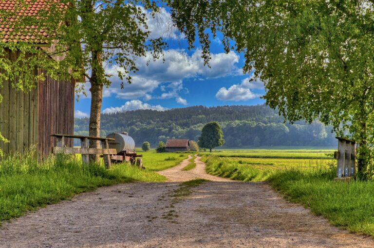 Landscape Chiemgau Nature Dirt Road  - Antranias / Pixabay