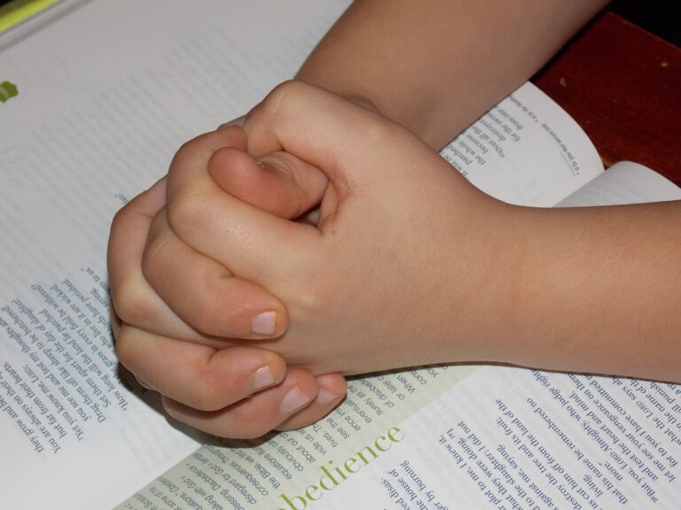 Child Praying Hands Bible Pray Hope  - JaimeWiebel / Pixabay