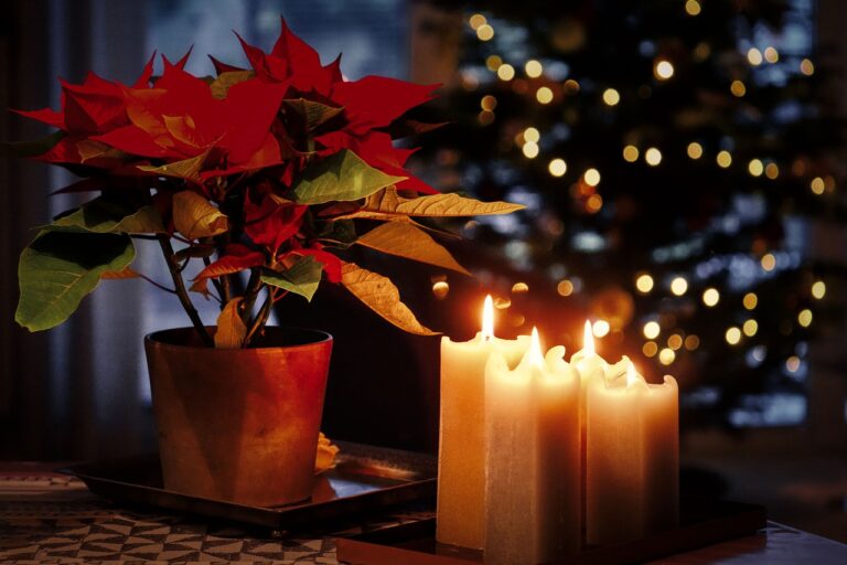 Candles Candlelight Advent  - fietzfotos / Pixabay