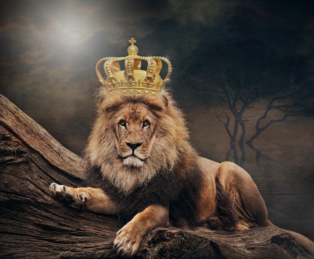 King Lion The Lion King Crown  - ThomasWolter / Pixabay