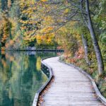 Autumn Lake Park Walkway Boardwalk  - anikinearthwalker / Pixabay