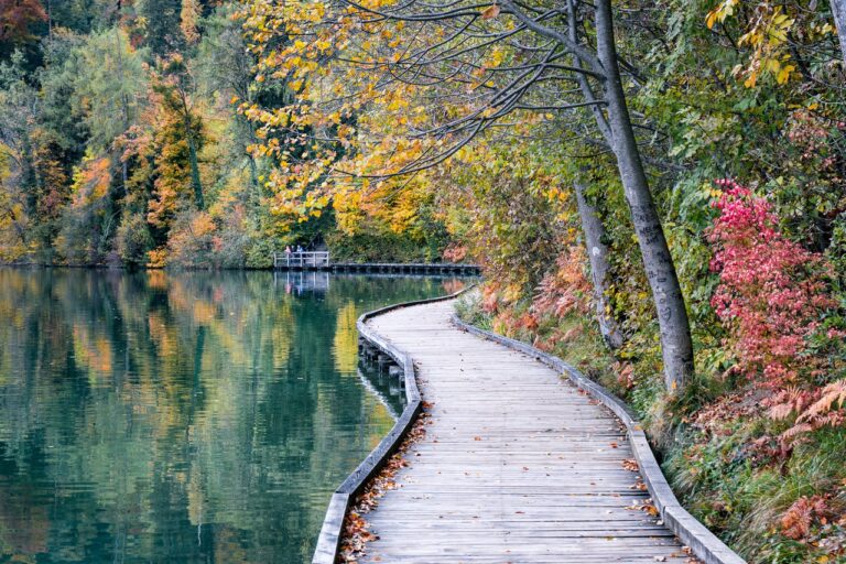 Autumn Lake Park Walkway Boardwalk  - anikinearthwalker / Pixabay