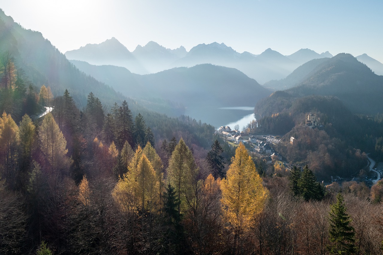 Neuschwanstein Castle Mountains  - anikinearthwalker / Pixabay