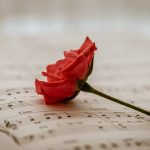 sheet music red rose red flower 6305620