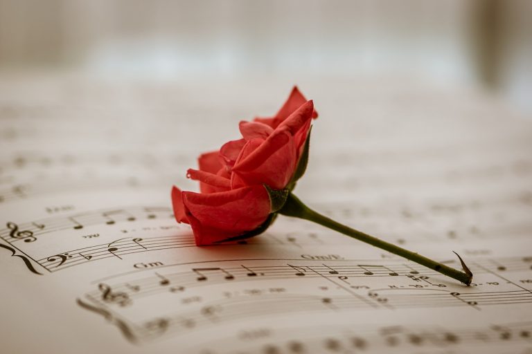 sheet music red rose red flower 6305620