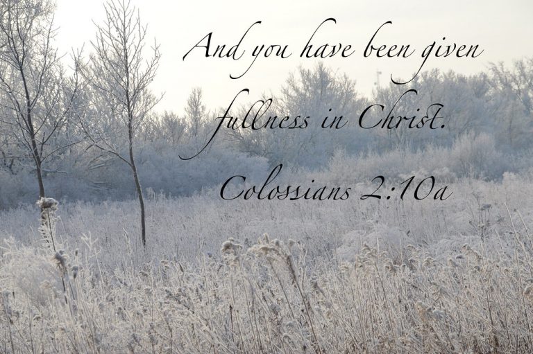 Colossians 2:10a