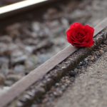 red rose near rail 3663309