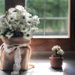 white petaled flower