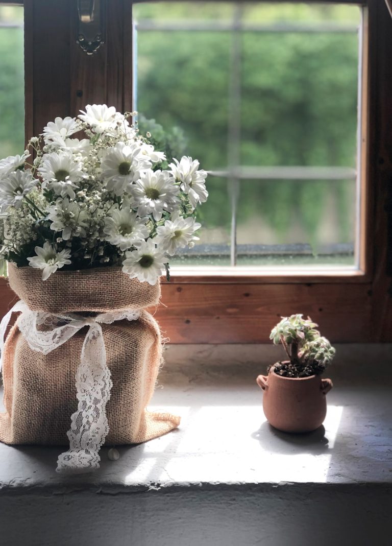 white petaled flower