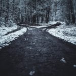 landscape photography of splitted road surrounded with trees