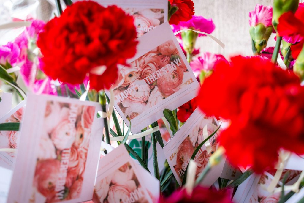 red flower on white wooden frame