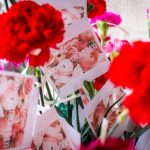 red flower on white wooden frame