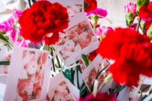 red flower on white wooden frame