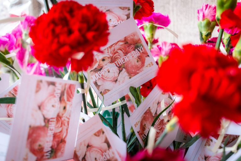 red flower on white wooden frame