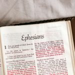 the new york times book