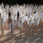 Many white fletched arrows standing upright in a holder