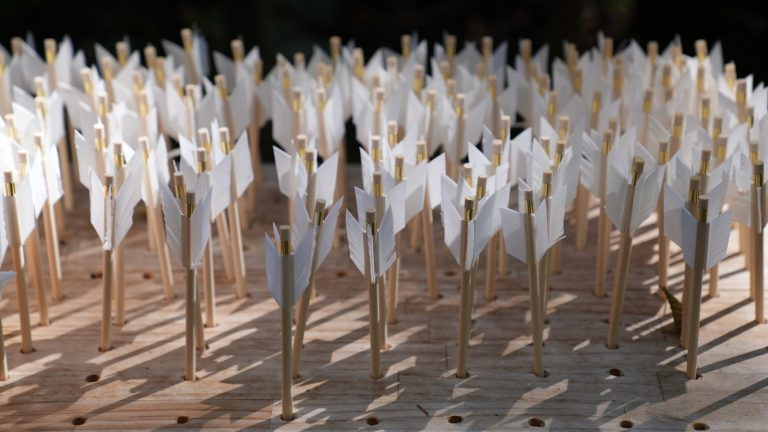 Many white fletched arrows standing upright in a holder