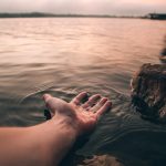 selective focus photography of person's hand on body of water